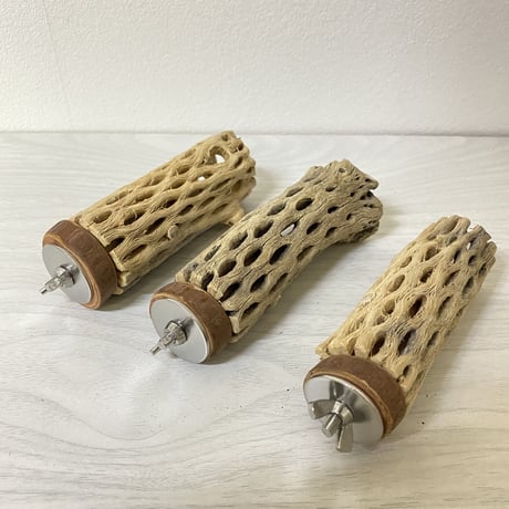 【もぅこ様専用】カクタスパーチ10cm×3本