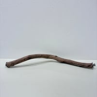 自然木（ツタ）うねうねパーチ⑤  HOEI465 直径約2.5cm/長さ44cm
