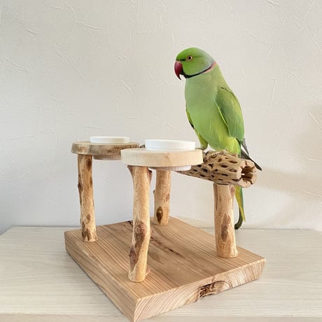 【Nana様専用】ケージサイズカクタスパーチ