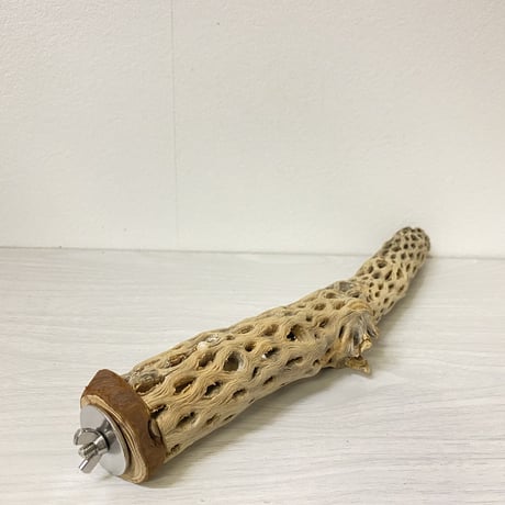 【小型から中型さん用】カクタスパーチ⑧ 小 直径3-4cm／長さ33.5cm