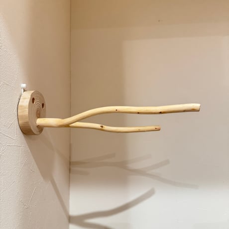桧のピノキオの鼻⑥