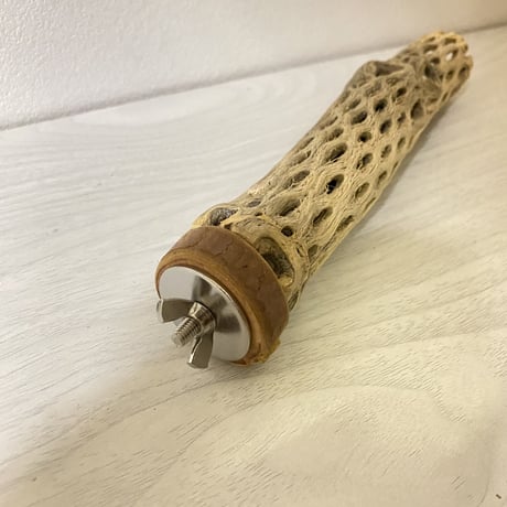 カクタスパーチ 極小サイズ⑭ 直径（約2-3cm）長さ/19.5cm