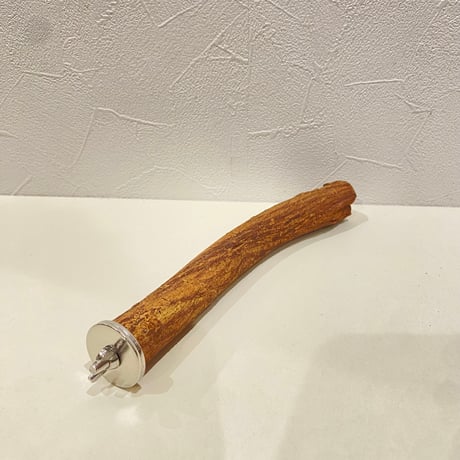 自然木（ツタ）パーチ 直径2.2~2.7cm/長さ21cm