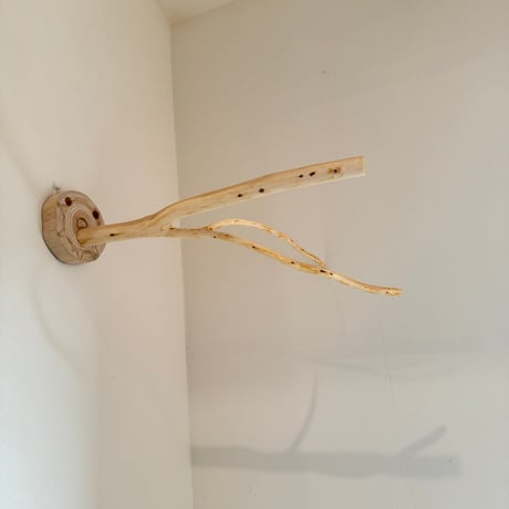 桧のピノキオの鼻 ⑧
