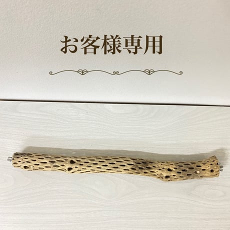 【S様専用】ケージサイズカクタスパーチ 小サイズ直径約4cm HOEI465サイズ