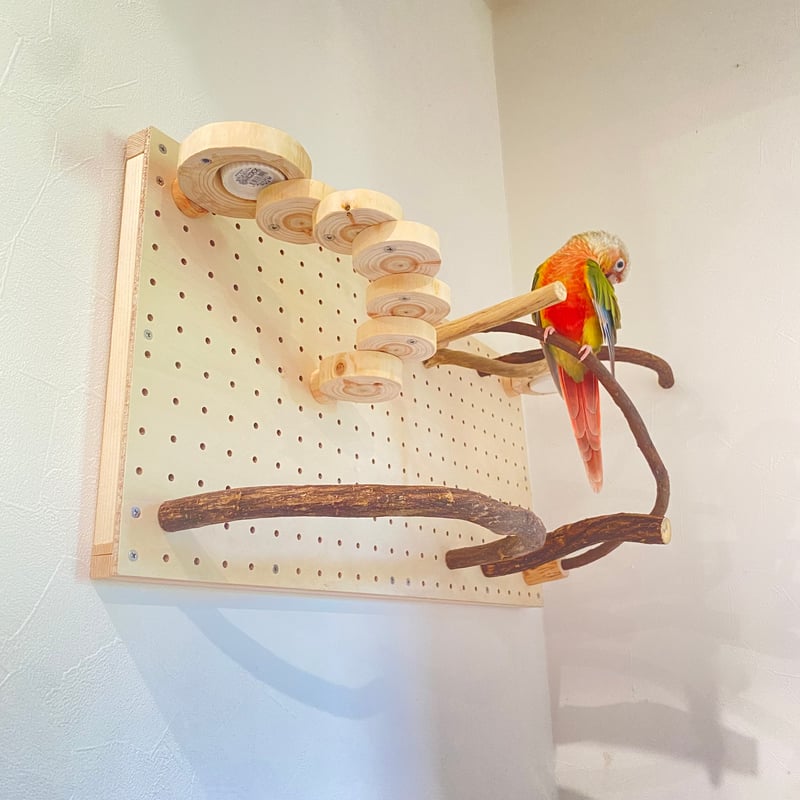 オーダー最終確認用160−No9タイプインコアスレチックジムツリー オーダー最終確認用160−No9タイプインコアスレチックジムツリー