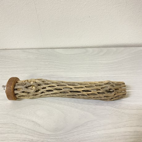 【小型用】カクタスパーチ⑤ 極小　直径2-3cm／長さ19cm