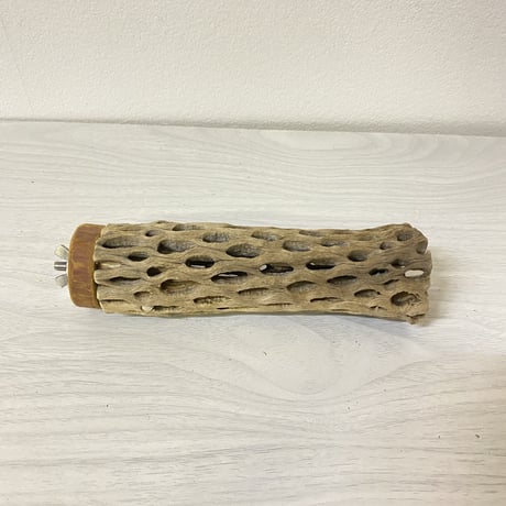 カクタスパーチ⑦ 中サイズ 直径（約5.5cm）長さ/15cm