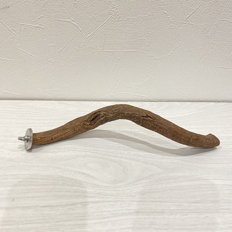 自然木（ツタ）パーチ⑤小型・ 中型用