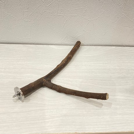 自然木（ツタ）パーチ⑦ 直径約1.2~1.5cm/最長26cm