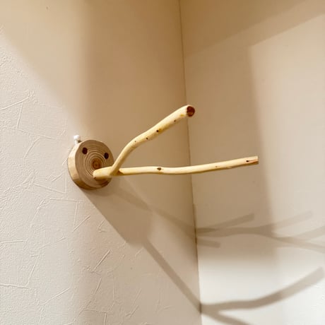 桧のピノキオの鼻⑥