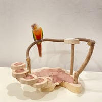 ちょこっとオヤツ入れ付きツタとカイヅカの螺旋階段のスタンドパーチ【インコのおもちゃ・ブランコ・自然木のとまり木】バードアスレチック