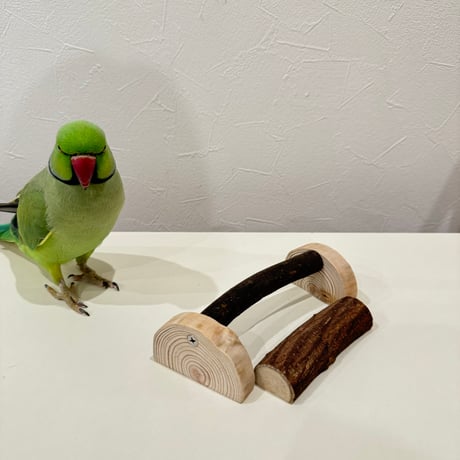 カクタスパーチ | STORES カクタスパーチ | STORES
