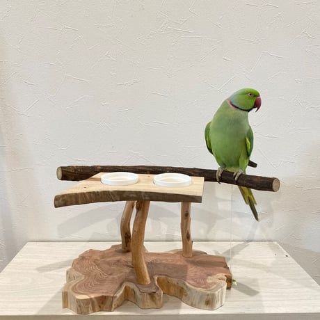 おしゅし屋さんカウンタースタンド