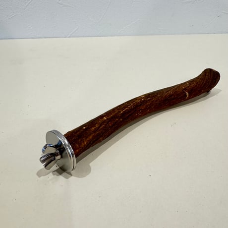 自然木（ツタ）パーチ 直径約2cm/長さ17.5cm