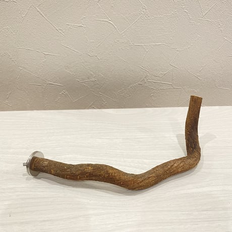 自然木（ツタ）パーチ④