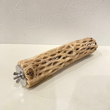 カクタスパーチ⑩ 直径約4.5cm/長さ20cm
