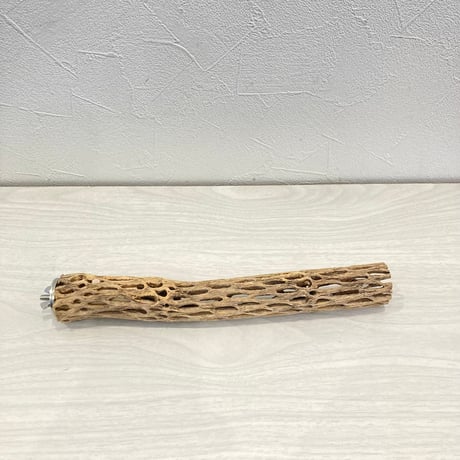 カクタスパーチ小③ 直径約3~4cm 長さ25cm