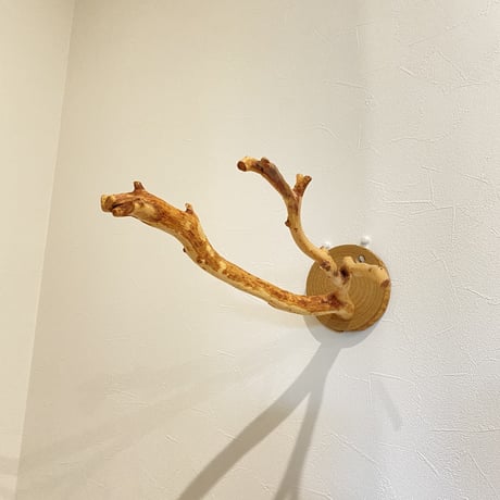 ピノキオの鼻 ①