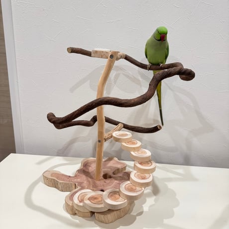 ツタと螺旋階段のぐるぐるバードアスレチック【インコのおもちゃ・ブランコ・自然木のとまり】