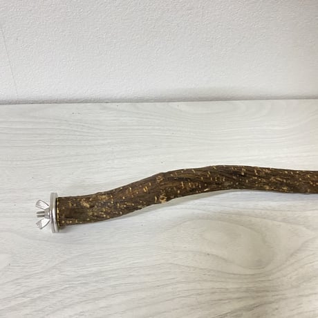殿様パーチ（自然木ツタ）④ 直径2.5cm/HOEI35サイズ