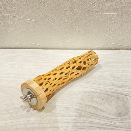 カクタスパーチ【16】直径3~4cm/長さ15cm