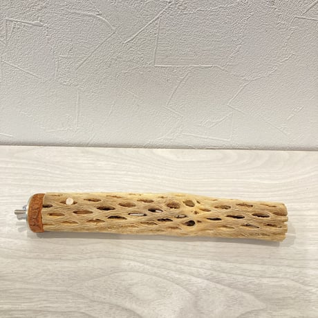 カクタスパーチ12  極小 直径3cm前後 長さ20cm