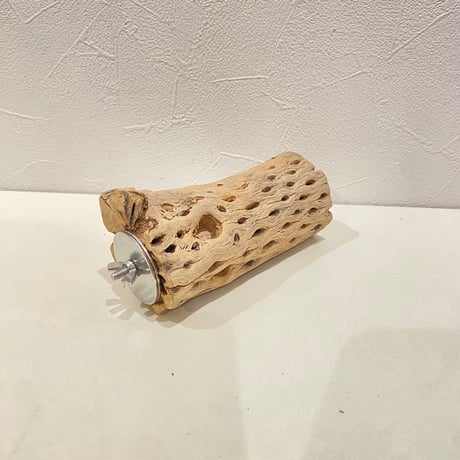 カクタスパーチ(H) 直径約5cm/長さ13cm