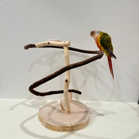 ツタのぐるぐるアスレチック 【小型から中型】【インコのおもちゃ・自然木のとまり木】