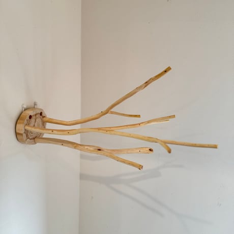 桧のピノキオの鼻 ⑥ お鼻3本