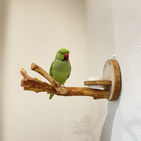 ピノキオの鼻