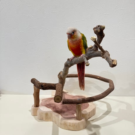 ツタとトウカエデのスタンドパーチ【インコのおもちゃ・ブランコ・自然木のとまり木】バードアスレチック