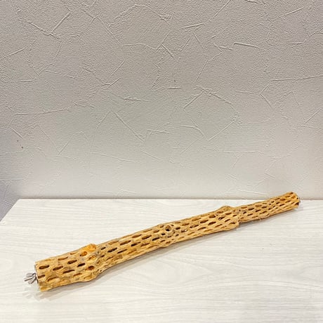 ケージサイズカクタスパーチ 極小サイズ直径約2-3cm HOEI465サイズ