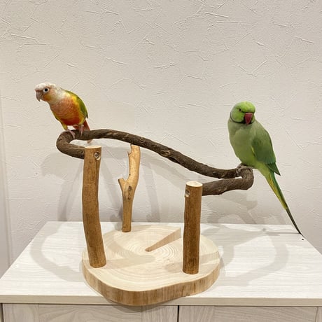 ツタのぴーちくぱーちスタンド①
