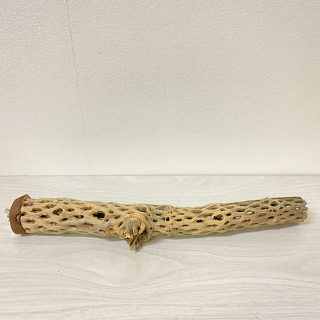 【小型から中型さん用】カクタスパーチ⑧ 小 直径3-4cm／長さ33.5cm