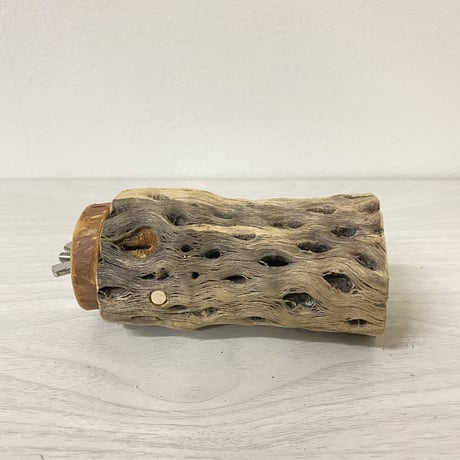 カクタスパーチ 中サイズ① 直径（約5.5cm）長さ/10cm