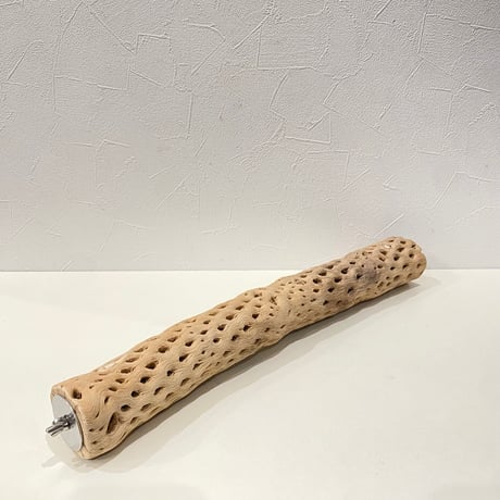 ケージサイズカクタスパーチ④ 直径約5.5cm HOEI465サイズ
