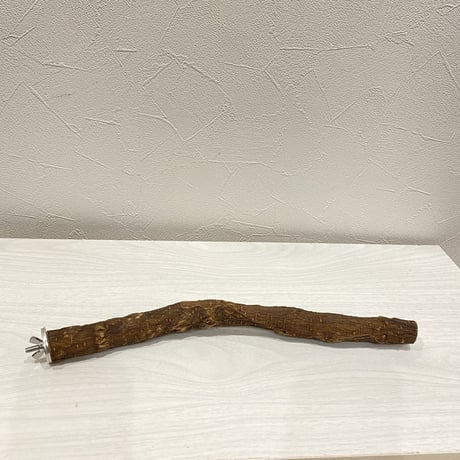 自然木（ツタ）パーチ③ 直径2.5cm長さ32cm