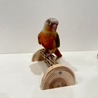 幼鳥・老鳥・介護サポート用　置き型カクタスパーチ③ 全長17.5cm/カクタス長さ15cm