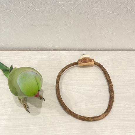 自然木（ツタ）のドーナツパーチビックサイズ Ｆ パーチ直径1cm／円直径19×16cm