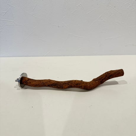 自然木（ツタ）パーチ 直径約1.4cm/長さ20cm