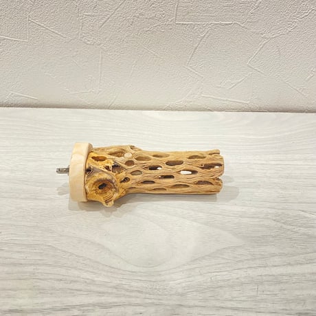 カクタスパーチ小 ① 直径3~4cm 長さ10cm