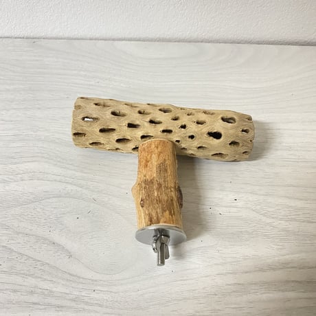 【みどり様専用】カクタスのT字パーチ  横12cm／足6cm