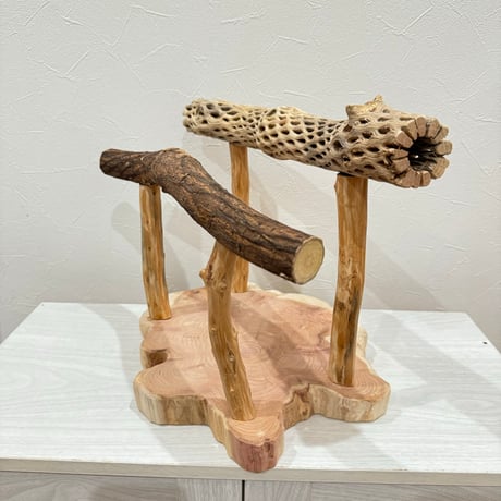 ツタとカクタスのスタンドパーチ【C】