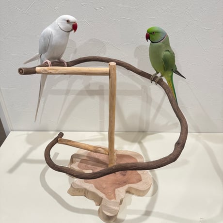 自然木の鳥用品 鳥豆堂【トリマメドウ】バードアスレチック・カクタス