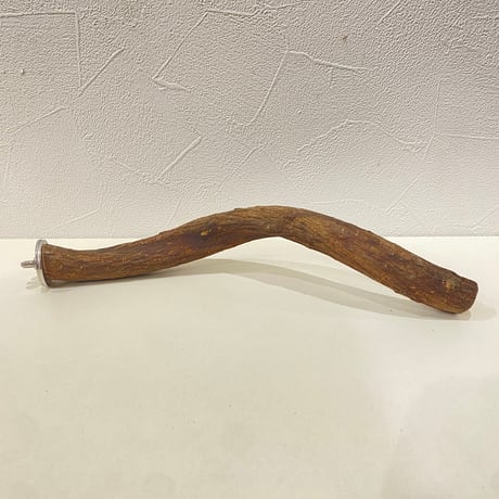 自然木（ツタ）パーチ 直径約2.2cm/長さ25cm