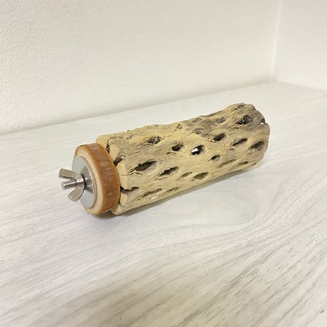 カクタスパーチ② 中サイズ 直径（約5.5cm）長さ/11.5cm