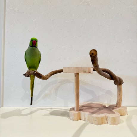 ツタのおやつ入れ付きスタンドパーチ【インコ 天然木 自然木 パーチ 止まり木】