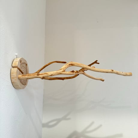 ピノキオの鼻 ⑤お鼻2本