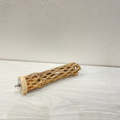カクタスパーチ⑥小3-4㎝長さ17㎝